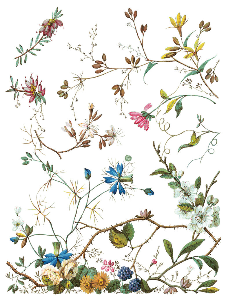 LOST GARDEN